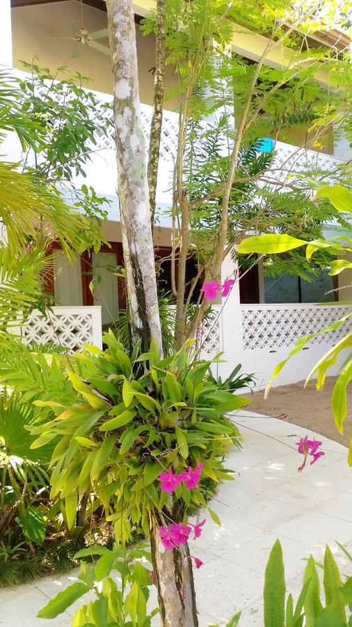 Idle Awhile Beach Hotel Negril Luaran gambar